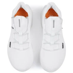 Icepeak Agen Mr