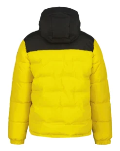 Icepeak Ameri