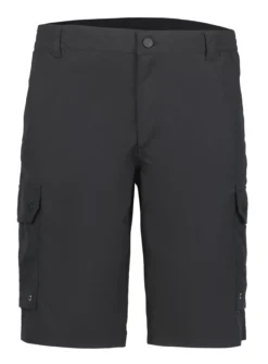 Icepeak Anzio