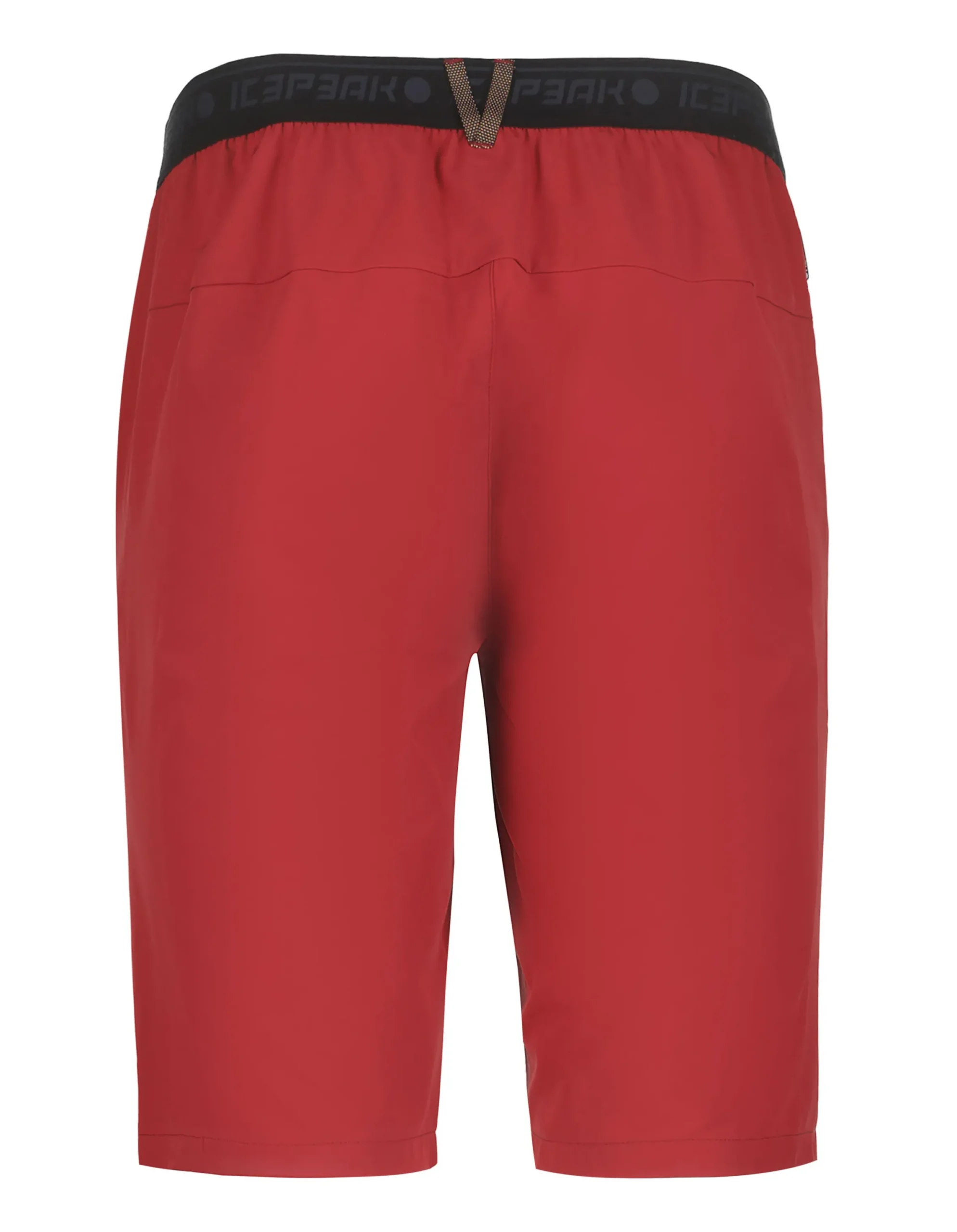Icepeak Baxter