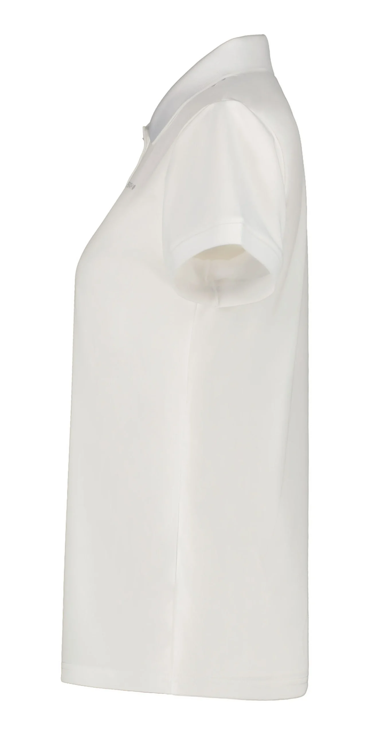 Icepeak Bayard