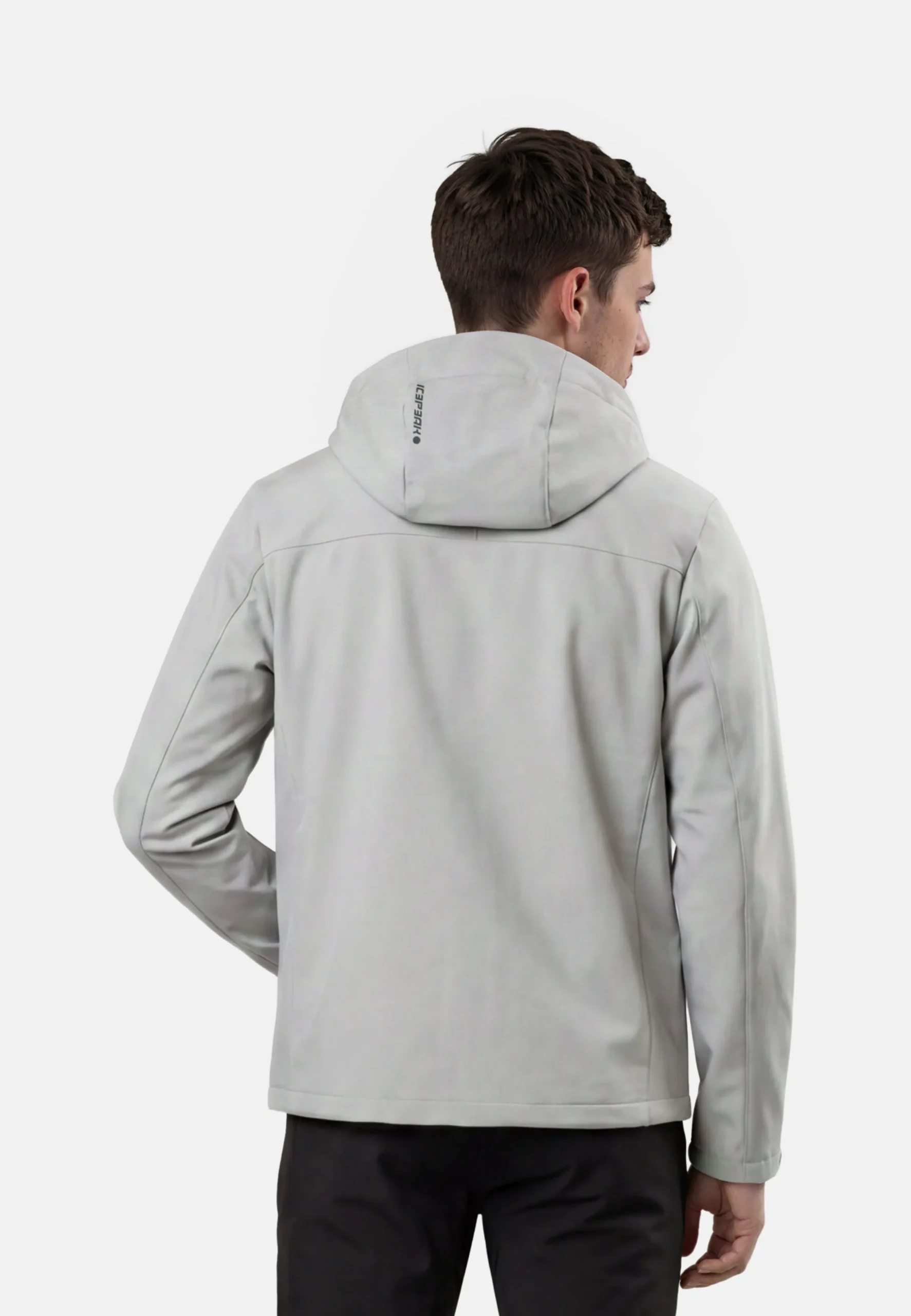 Icepeak Beedeville