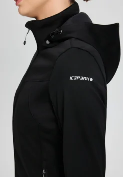 Icepeak Boise