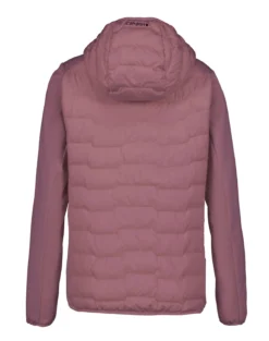Icepeak Burlison