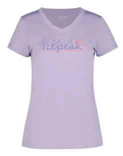 Icepeak Burnham