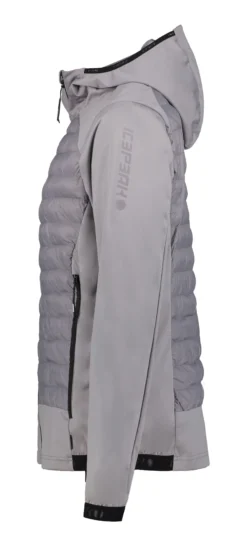 Icepeak Deepstep
