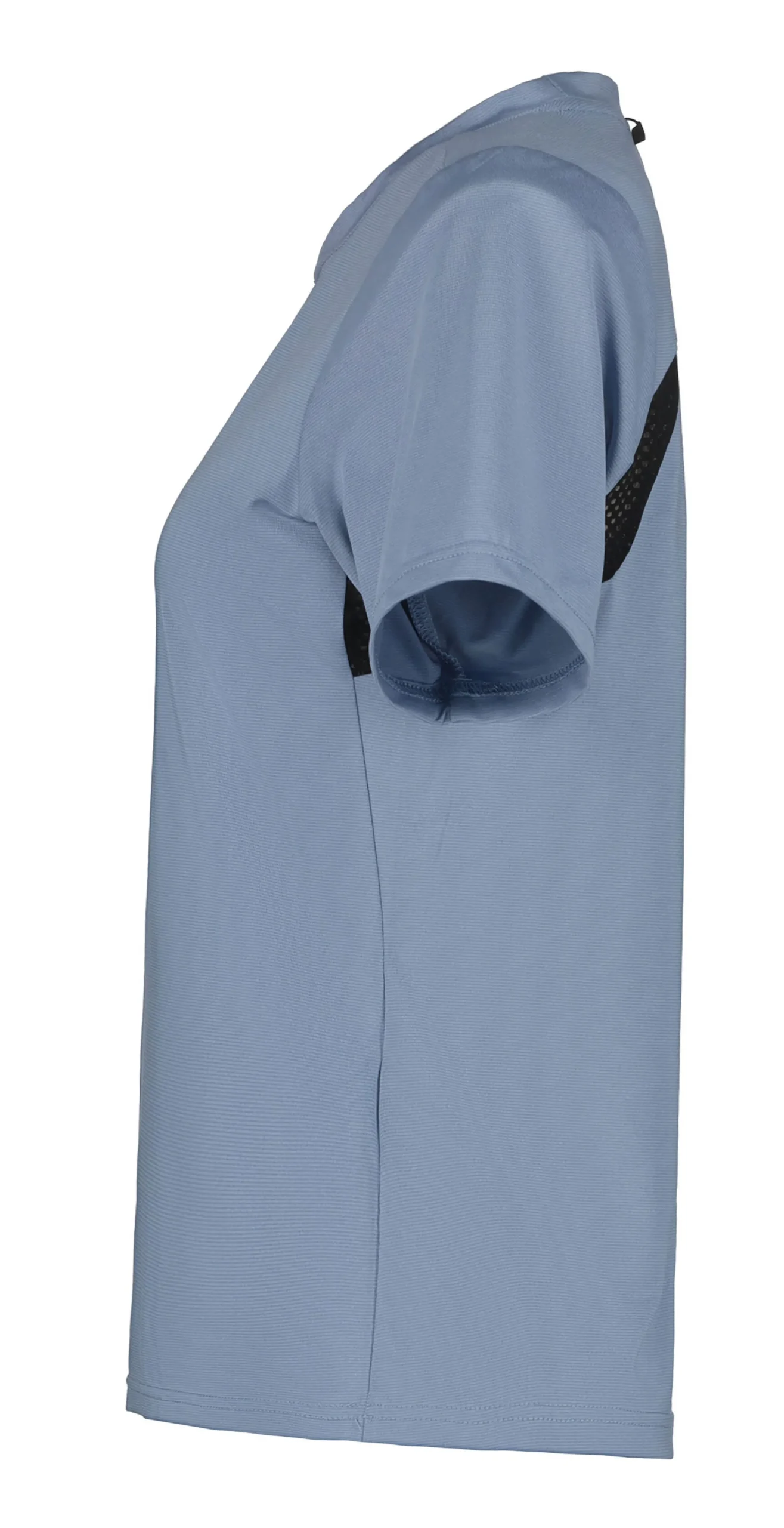 Icepeak Deloit