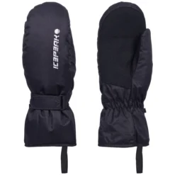 Icepeak Haysburg