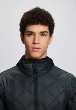 Icepeak Palmer