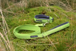 Icepeak Pet Grand x leash