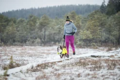Icepeak Pet Strike raincoat