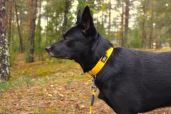 Rukka Pets Biodipro Collar