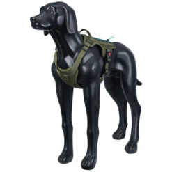 Rukka Pets Bliss x trek Harness