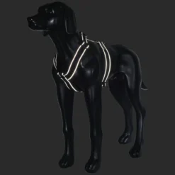 Rukka Pets Form harness