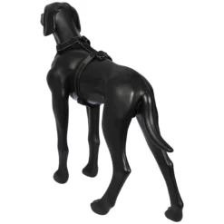 Rukka Pets Form harness