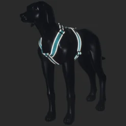 Rukka Pets Form harness