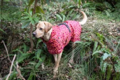 Rukka Pets Hayton warm raincoat