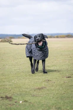 Rukka Pets Hayton warm raincoat
