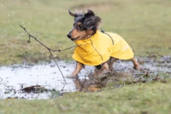 Rukka Pets Hayton x raincoat