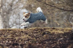 Rukka Pets Protect overall