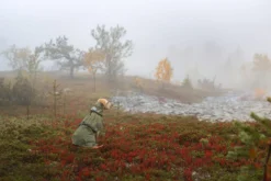Rukka Pets Ripple Raincoat