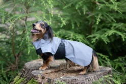 Rukka Pets Shine raincoat
