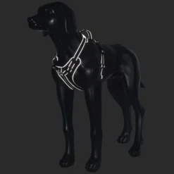 Rukka Pets Solid harness
