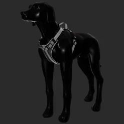 Rukka Pets Star harness