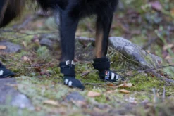 Rukka pets Step shoes