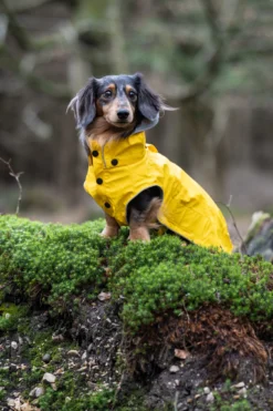 Rukka Pets Stream raincoat