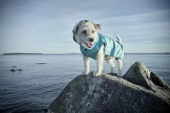 Rukka Pets Stream raincoat
